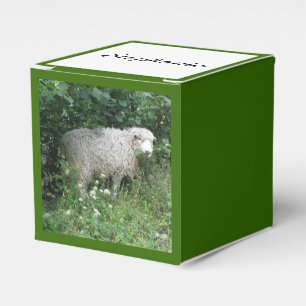 Cute White Fluffy Sheep Eating Custom Favour Box