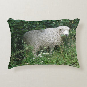 Cute White Fluffy Sheep Eating Pillow