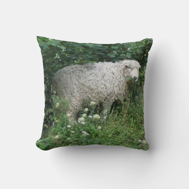 Cute White Fluffy Sheep Eating Pillow (Front)