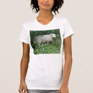 Cute White Fluffy Sheep Eating T Shirt