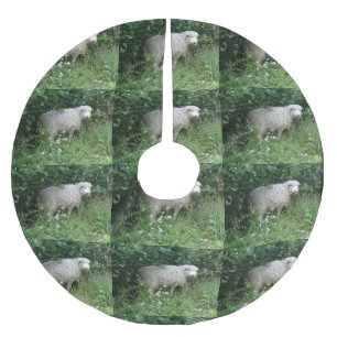 Cute White Fluffy Sheep Eating Tree Skirt