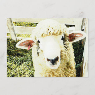 Cute White Fluffy Sheep Invitation