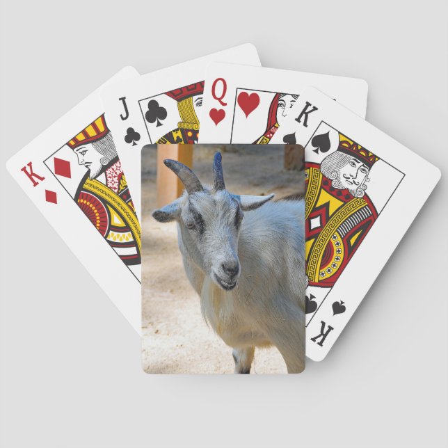 Cute White Goat Photo Playing Cards (Back)