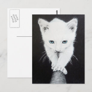 Cute white kitten Animal drawing art Cat lovers Postcard