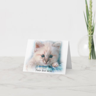 cute white kitten with gorgeous blue eyes card