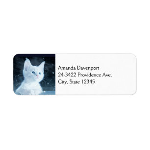 Cute White Kitten with Pretty Blue Eyes Return Address Label