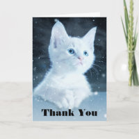 Cute White Kitten with Pretty Blue Eyes Thank You