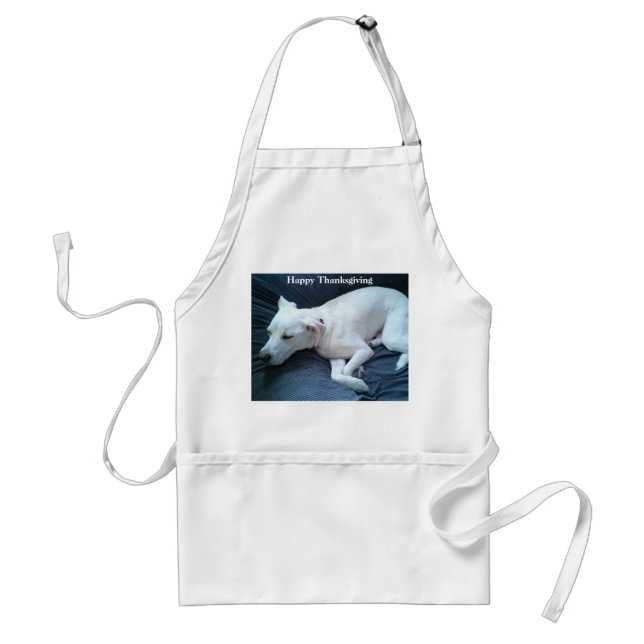 Cute White Labrador Mix Dog Sleeping Thanksgiving Standard Apron (Front)