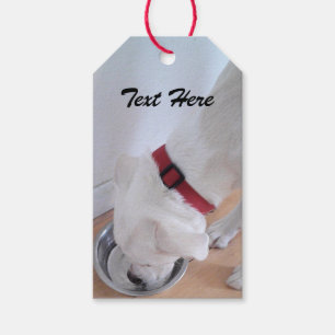 Cute White Labrador Mix Puppy Dog Drinking Water Gift Tags