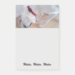 Cute White Labrador Mix Puppy Dog Drinking Water Post-it Notes