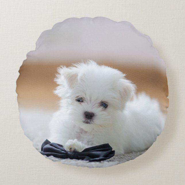 Cute White Maltese Puppy Round Cushion (Front)