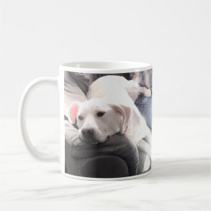 Cute White Peaceful Dog Coffee Mug
