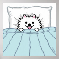 Cute White Pomeranian Dog Tucked in Bed