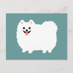 Cute White Pomeranian Postcard