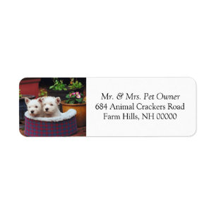 Cute White Puppies Return Address Mail Stickers