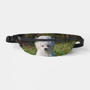 Cute white puppy bum bags