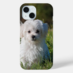 Cute white puppy iPhone 15 case