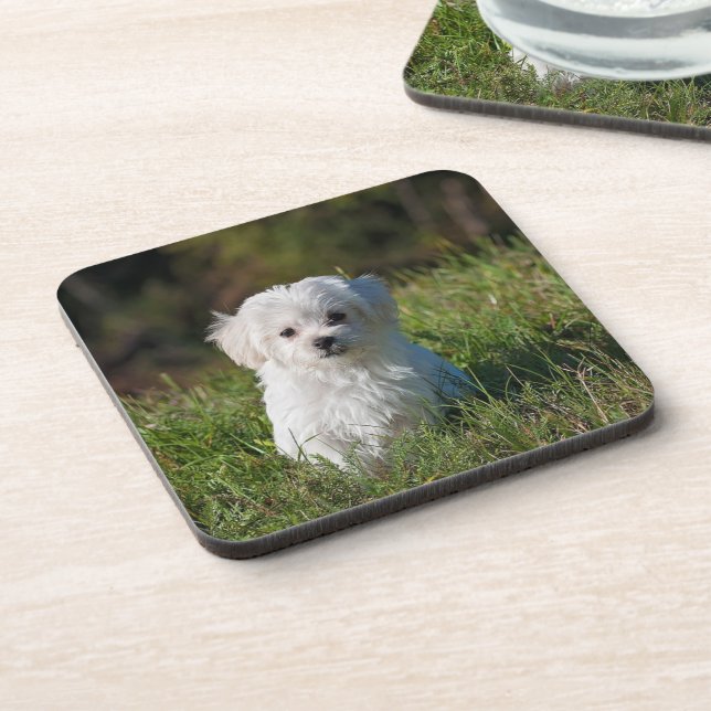 Cute white puppy coaster (Left Side)