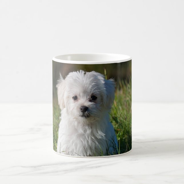 Cute white puppy coffee mug (Center)