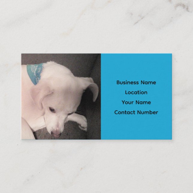 Cute White Puppy Dog Beautiful Blue Business Card (Front)