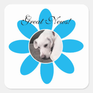Cute White Puppy Dog in Sweet Blue flower Frame Sq Square Sticker