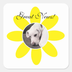 Cute White Puppy Dog in Sweet Yellow flower Frame Square Sticker