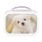 Cute White Puppy Dog Lunch Box Kids School Food