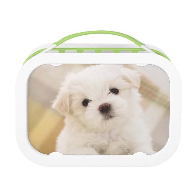 Cute White Puppy Dog Lunch Box Kids School Food (Front)