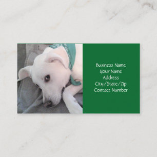 Cute white Puppy Dog Wearing Green Scarf Business  Business Card