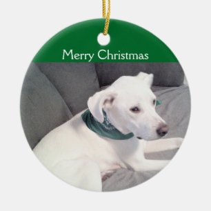 Cute White Puppy Dog Wearing Green Scarf Festive Ceramic Ornament