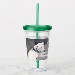 Cute White Puppy Dog Wearing Green Scarf Grey Acrylic Tumbler
