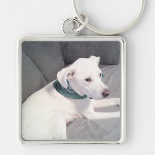 Cute White Puppy Dog Wearing Green Scarf Grey Key Ring