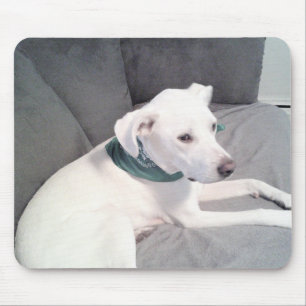 Cute White Puppy Dog Wearing Green Scarf Grey Mouse Pad