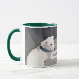 Cute White Puppy Dog Wearing Green Scarf Grey Mug