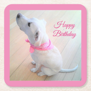 Cute White Puppy Dog Wearing Pink Scarf Square Paper Coaster