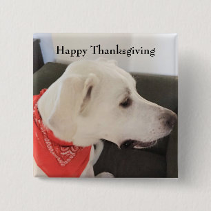 Cute White Puppy Dog Wearing Scarf Thanksgiving 15 Cm Square Badge