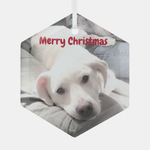 Cute White Puppy Dog With Dad on Couch Glass Tree Decoration