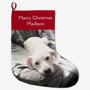 Cute White Puppy Dog With Dad on Couch Red Large C Christmas Stocking