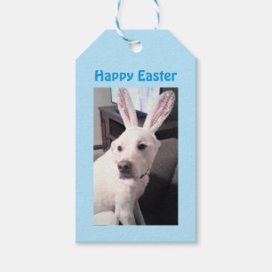 Cute White Puppy Dog With Easter Bunny Ears Blue Gift Tags