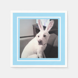 Cute White Puppy Dog With Easter Bunny Ears Blue Napkin