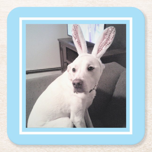 Cute White Puppy Dog With Easter Bunny Ears Blue Square Paper Coaster (Front)