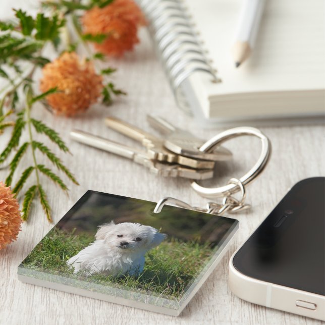 Cute white puppy key ring (Front Right)