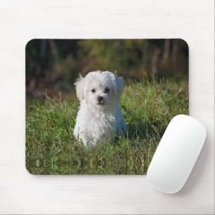 Cute white puppy mouse pad