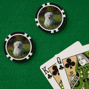 Cute white puppy poker chips
