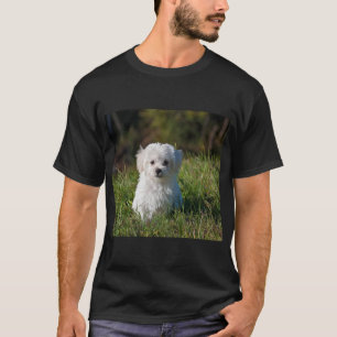 Cute white puppy T-Shirt