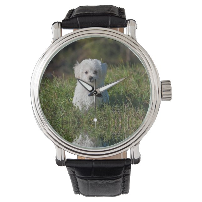 Cute white puppy watch (Front)