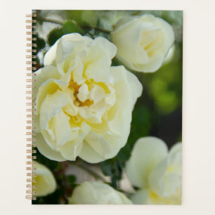 Cute white roses for positive planner