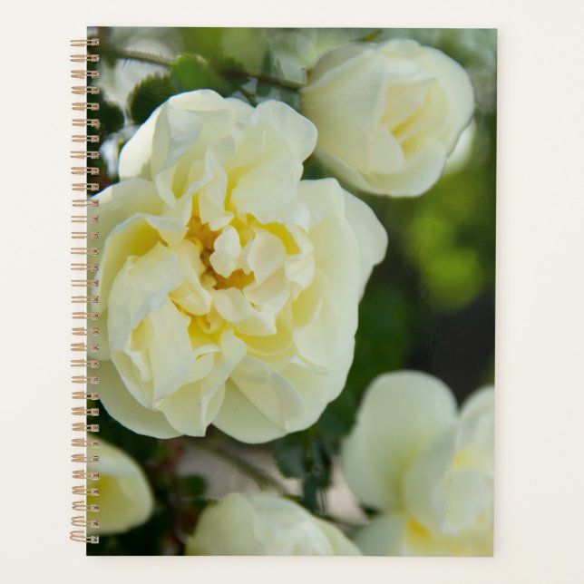 Cute white roses for positive   planner (Front)