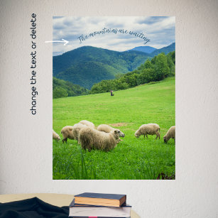 Cute white sheep in a meadow under the mountain poster