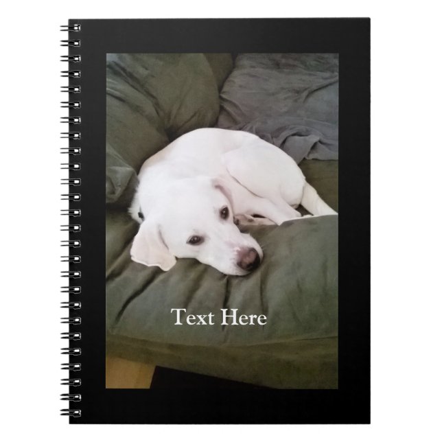 Cute White Tired Labrador Retriever Mix Puppy Dog Notebook (Front)